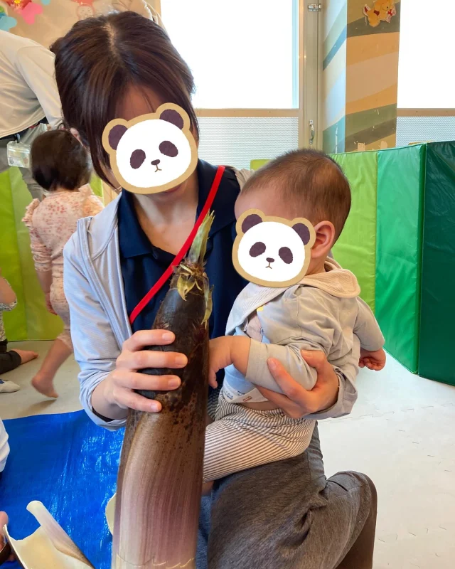 たけのこの皮むき🎵  大きな、大きなたけのこの皮むきをしました💕
みんなと同じぐらいの高さがあるたけのこだったので、目の前で見た時は「・・・。」と少しビックリした様子でした😂💦  触ってみたり、持ち上げてみたり、匂いを嗅いでみたり、そして給食では食べてみて、、、。
五感を使ってたけのこを知ることができました😊💕  #神戸オリーブ保育園 #小規模保育園#オリーブグループ #神戸市中央区  #保育園  #たけのこ