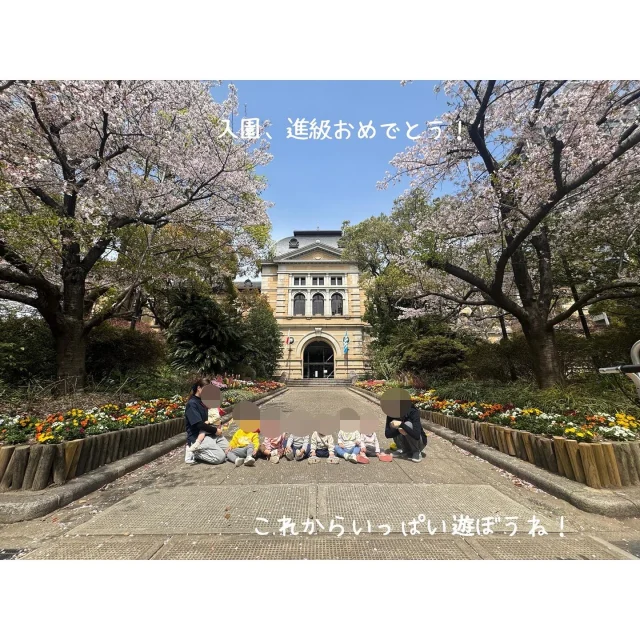 🌸ご入園、ご進級おめでとうございます。
桜が満開　お花見散歩に出かけました🥰  #新年度#春散歩#進級#入園 #県公館 #花隈公園
#神戸市中央区 #元町オリーブ保育園 #オリーブグループ #小規模保育園 #企業主導型保育園 #手ぶら登園 #保育園 #0歳児 #1歳児 #2歳児 #桜#お花見 #お散歩 #園児募集中
