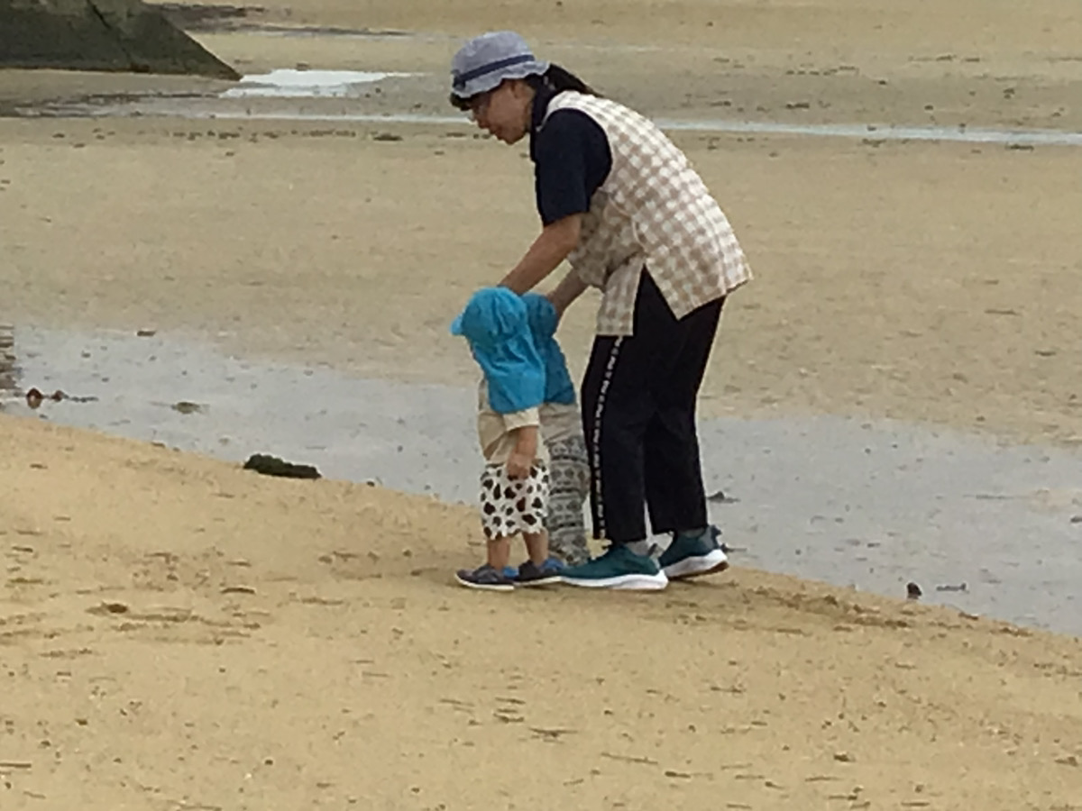 本園、ダウンロード (15)
