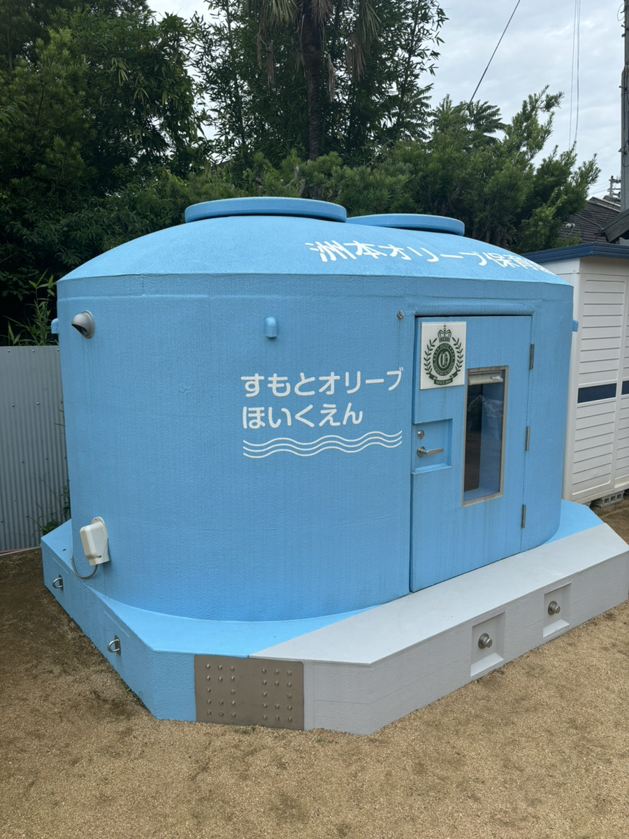 a339f6ff8f8f69cdcf0c35e2b58f2048 津波シェルター
